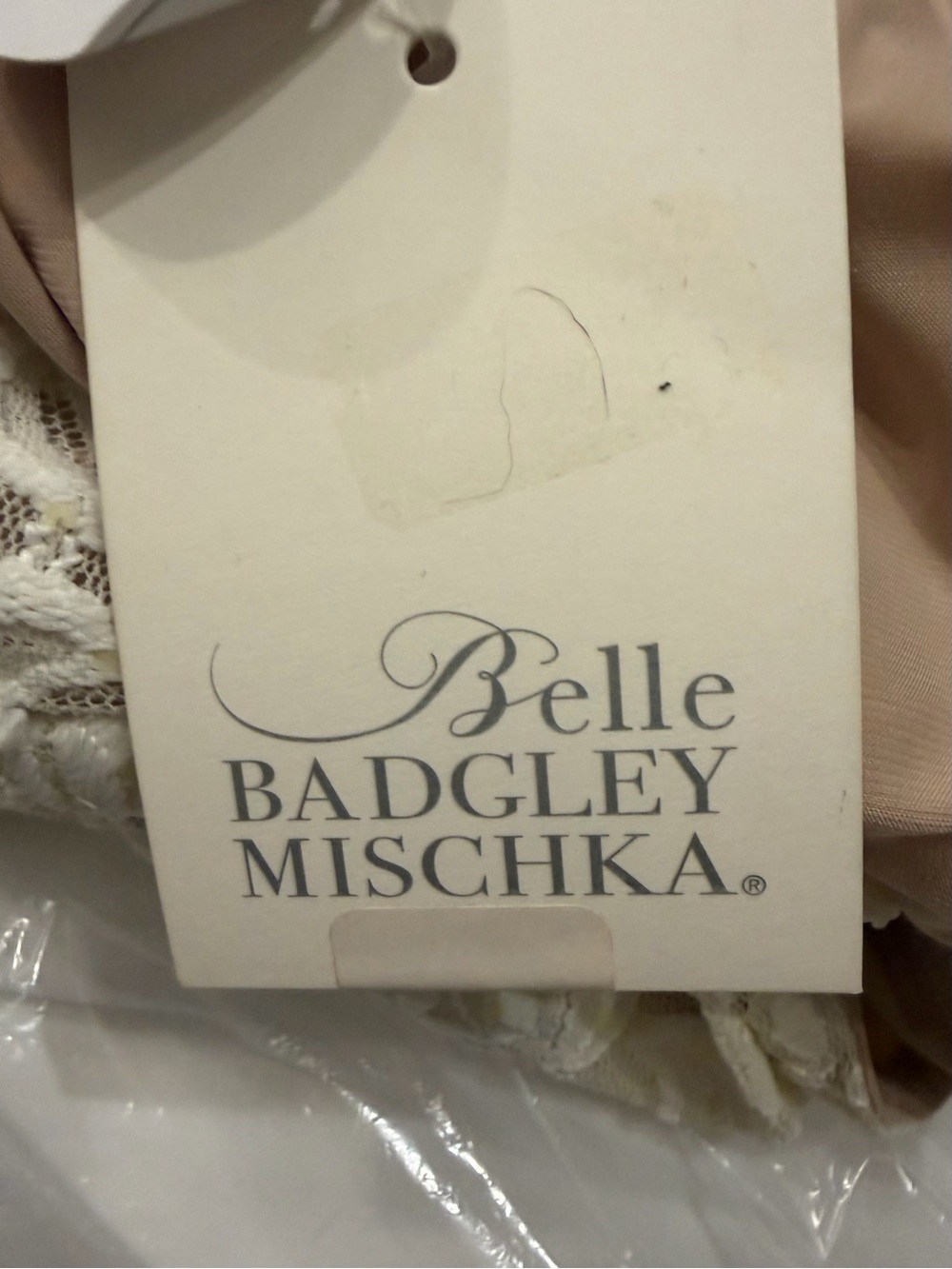 Belle Badgley Mischka Size 10 Ivory Floral Lace Sheath Dress NWT - Picture 4 of 6